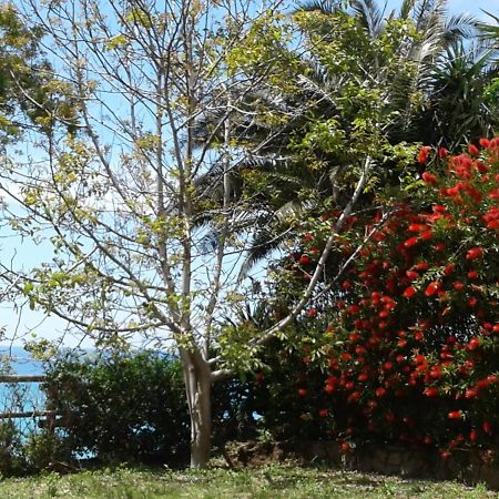 B&B L'Eucalipto Paola Dış mekan fotoğraf