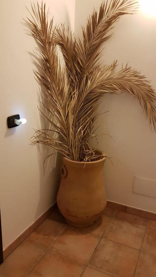 B&B L'Eucalipto Paola Dış mekan fotoğraf