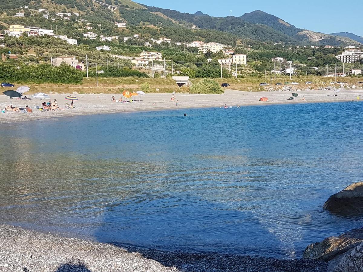 B&B L'Eucalipto Paola Dış mekan fotoğraf