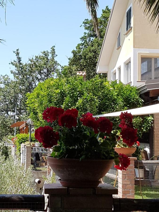 B&B L'Eucalipto Paola Dış mekan fotoğraf