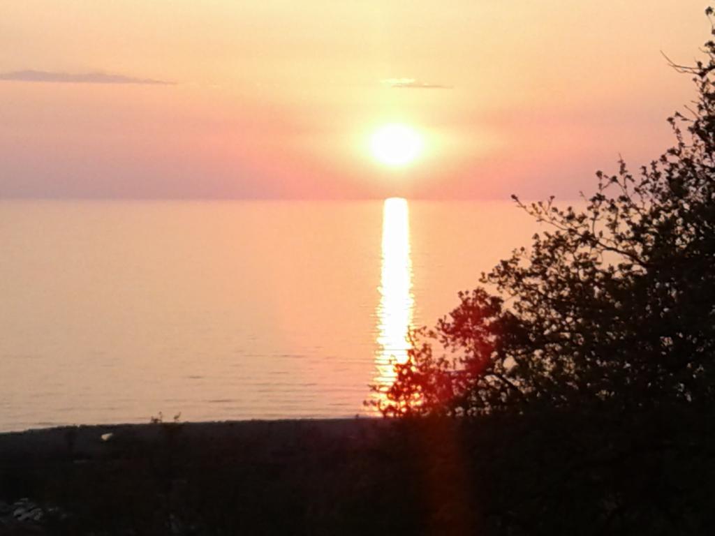 B&B L'Eucalipto Paola Dış mekan fotoğraf